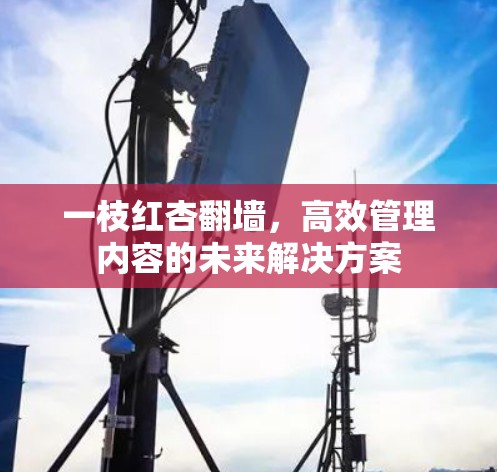 一枝红杏翻墙，高效管理内容的未来解决方案