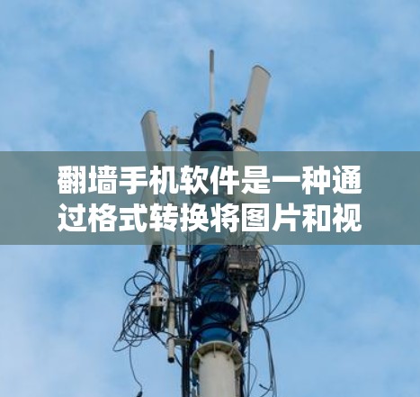 翻墙手机软件是一种通过格式转换将图片和视频隐藏在其他设备中的方式，通常不需要真实传输数据。以下是对这些翻墙软件的详细分析