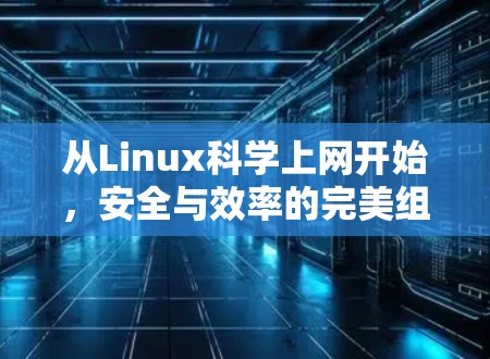 从Linux科学上网开始，安全与效率的完美组合