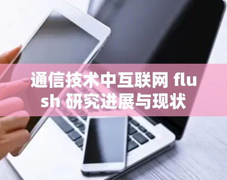 通信技术中互联网 flush 研究进展与现状