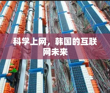 科学上网，韩国的互联网未来