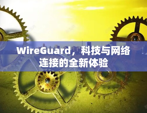 WireGuard，科技与网络连接的全新体验