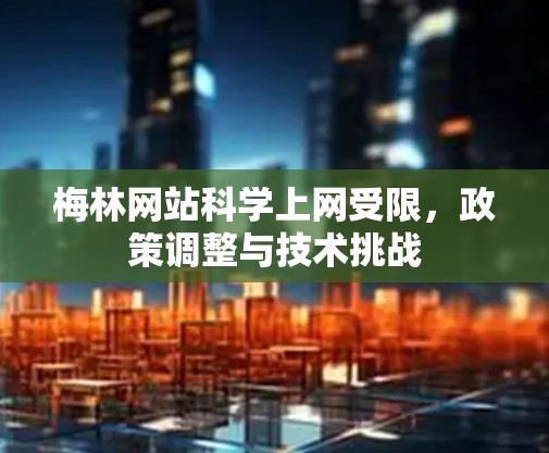 梅林网站科学上网受限，政策调整与技术挑战