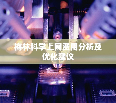 梅林科学上网费用分析及优化建议