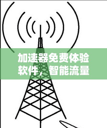 加速器免费体验软件，智能流量管理与自动化解决方案