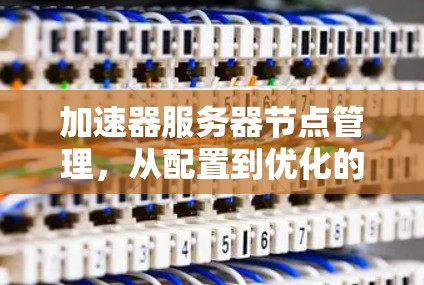 加速器服务器节点管理，从配置到优化的最佳实践