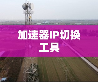 加速器IP切换工具