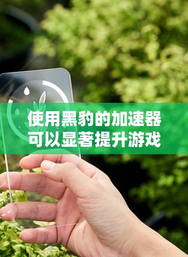 使用黑豹的加速器可以显著提升游戏性能,以下是详细的步骤指南 使用黑豹的加速器可以显著提升游戏性能,以下是详细的步骤指南