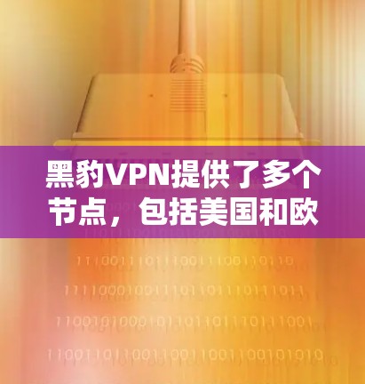 黑豹VPN提供了多个节点，包括美国和欧洲的服务器，这些节点提供了快速、安全的VPN体验。以下是详细的分析