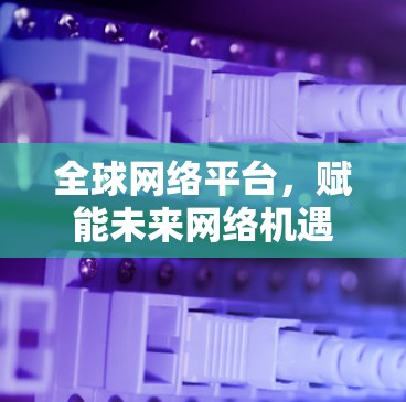 全球网络平台，赋能未来网络机遇