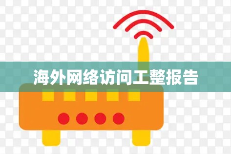 海外网络访问工整报告