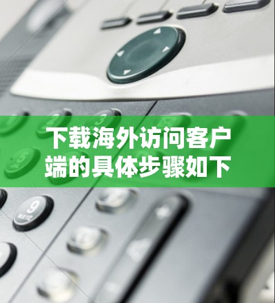 下载海外访问客户端的具体步骤如下