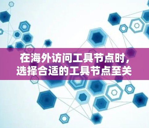 在海外访问工具节点时，选择合适的工具节点至关重要，因为它直接影响到访问的安全性、可用性和效率。以下是一些推荐的工具节点类型及其特点，帮助你做出最佳选择