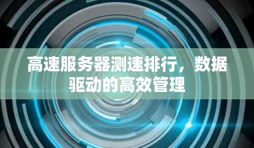高速服务器测速排行，数据驱动的高效管理