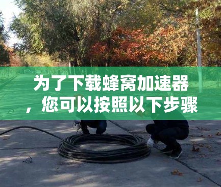为了下载蜂窝加速器，您可以按照以下步骤进行操作