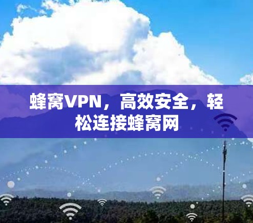 蜂窝VPN，高效安全，轻松连接蜂窝网