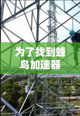 为了找到蜂鸟加速器的下载链接，您可以按照以下步骤进行