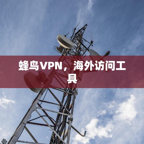 蜂鸟VPN，海外访问工具