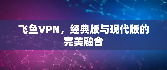 飞鱼VPN，经典版与现代版的完美融合