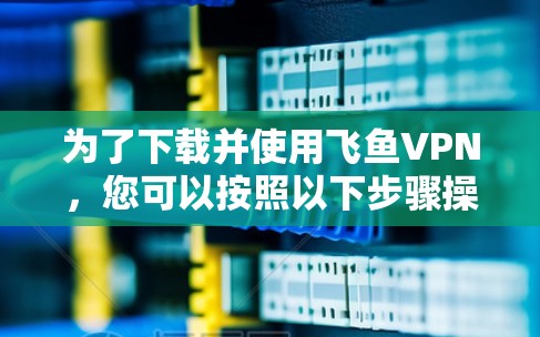 为了下载并使用飞鱼VPN，您可以按照以下步骤操作