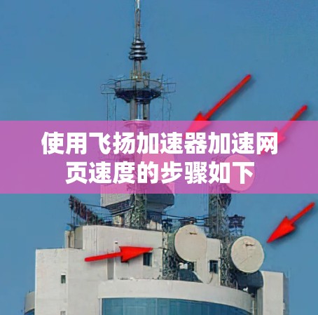 使用飞扬加速器加速网页速度的步骤如下