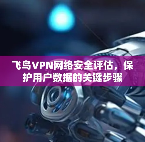 飞鸟VPN网络安全评估，保护用户数据的关键步骤