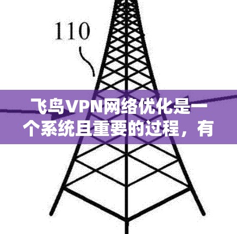 飞鸟VPN网络优化是一个系统且重要的过程，有助于保障用户的数据安全和网络环境。以下是一步步的优化建议