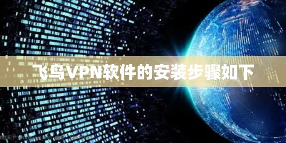飞鸟VPN软件的安装步骤如下