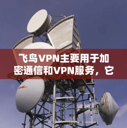 飞鸟VPN主要用于加密通信和VPN服务，它本身并不具备科学上网的功能。如果您指的是任何地方访问，这取决于您所处的环境和设备的安全性。以下是关于飞鸟VPN的一些关键信息