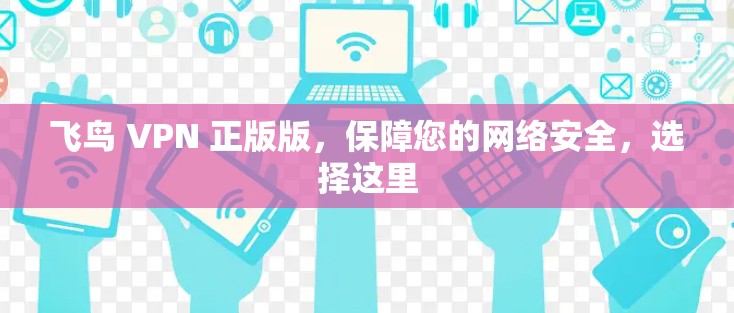 飞鸟 VPN 正版版，保障您的网络安全，选择这里