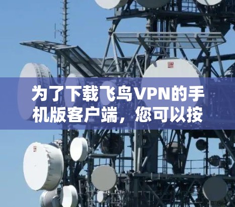 为了下载飞鸟VPN的手机版客户端，您可以按照以下步骤操作