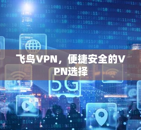 飞鸟VPN，便捷安全的VPN选择