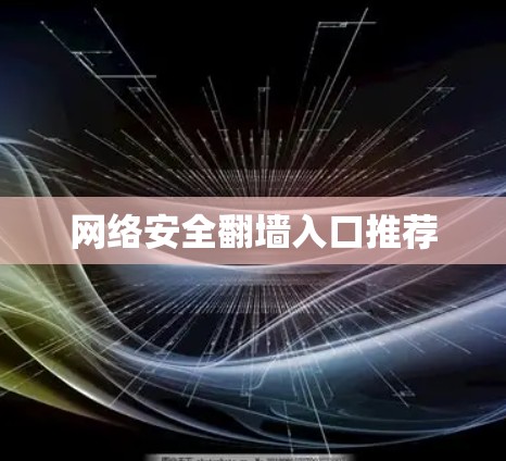 网络安全翻墙入口推荐
