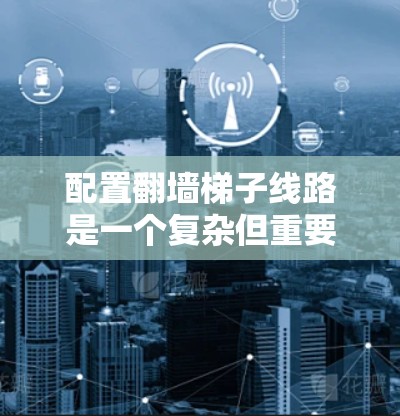 配置翻墙梯子线路是一个复杂但重要的步骤，涉及多个因素的综合考虑。以下是对翻墙梯子线路配置的详细分析和建议