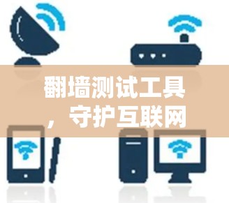 翻墙测试工具，守护互联网的安全