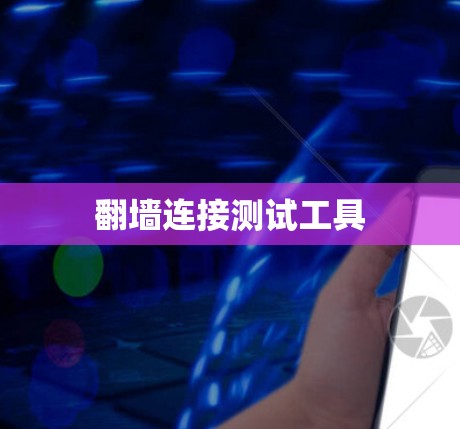 翻墙连接测试工具