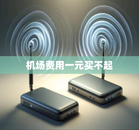 机场费用一元买不起 机场费用一元买不起