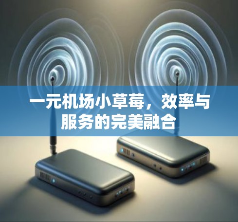 一元机场小草莓，效率与服务的完美融合