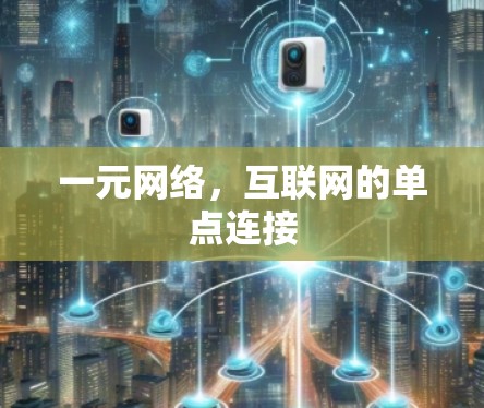 一元网络，互联网的单点连接