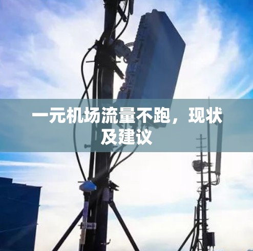 一元机场流量不跑，现状及建议