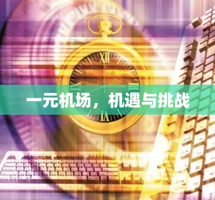 一元机场，机遇与挑战