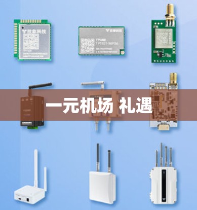 一元机场 礼遇
