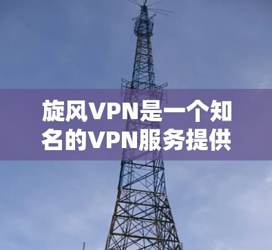 旋风VPN是一个知名的VPN服务提供商，提供多种VPN选项，包括移动应用、官方网站和第三方网站。以下是关于旋风VPN的详细介绍