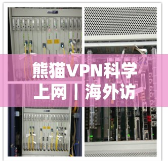 熊猫VPN科学上网｜海外访问体验