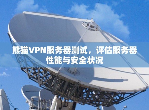 熊猫VPN服务器测试，评估服务器性能与安全状况